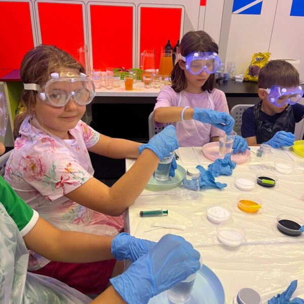 Mini kolonie w Płocku