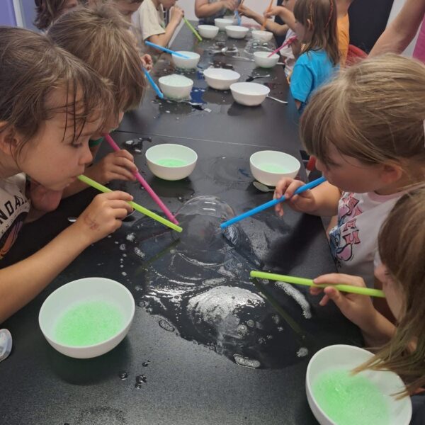 Warsztaty tematyczne dla szkół i przedszkoli