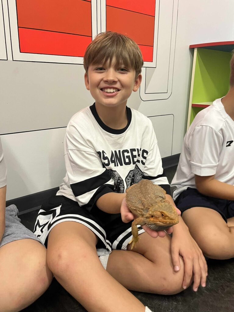 Mini kolonie w Płocku